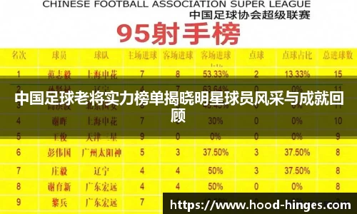 中国足球老将实力榜单揭晓明星球员风采与成就回顾